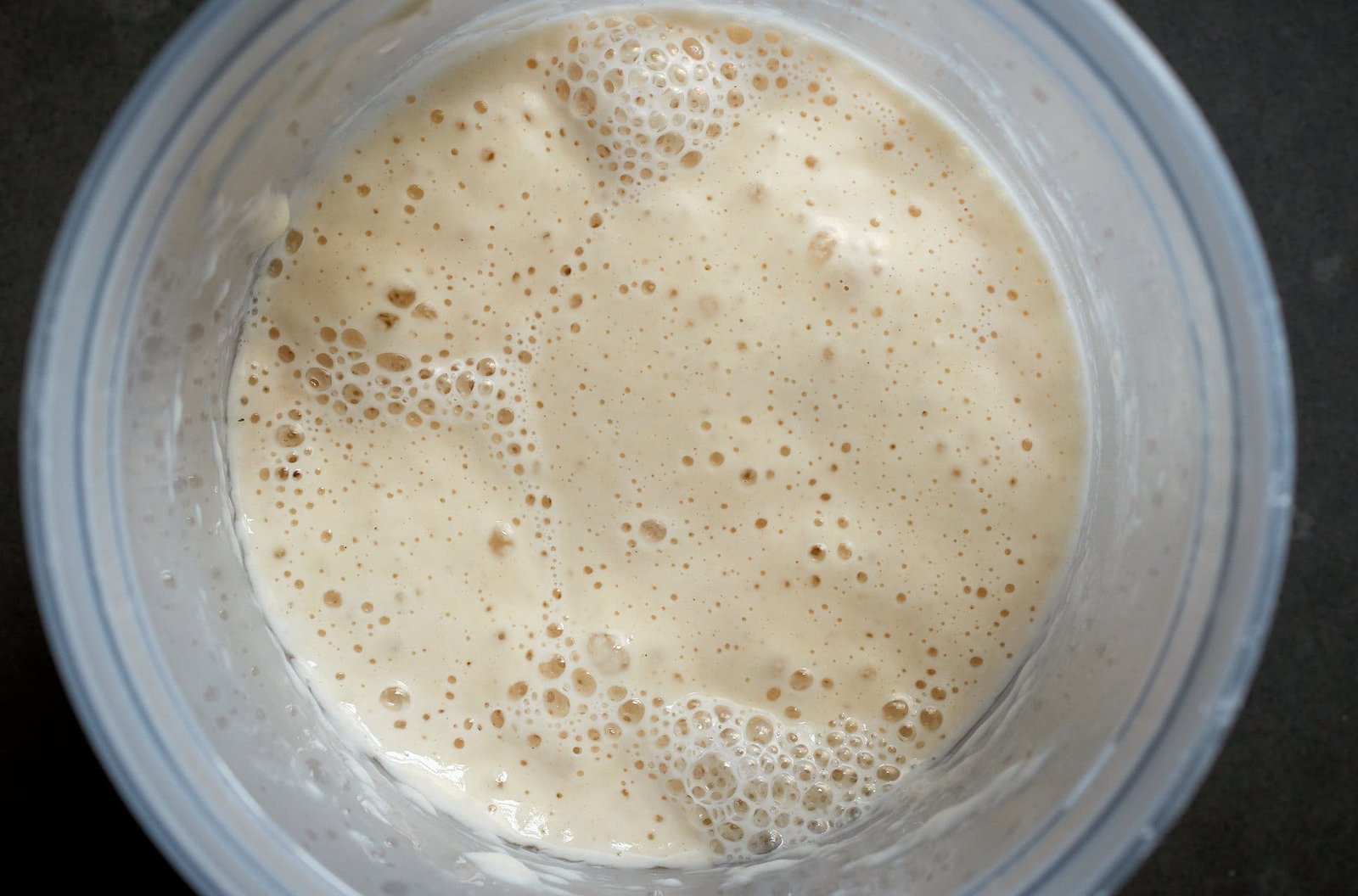 An overhead image of a bubbling sourdough starter.