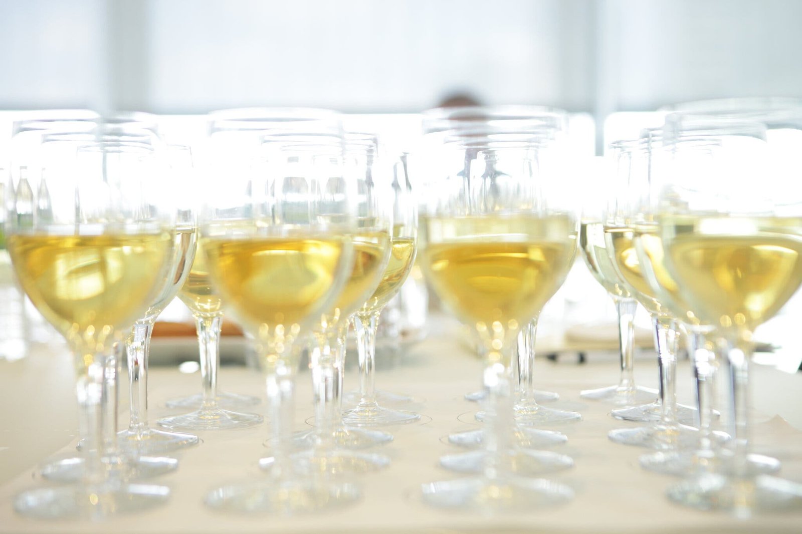 A side image of many stemmed glasses filled with white wine.