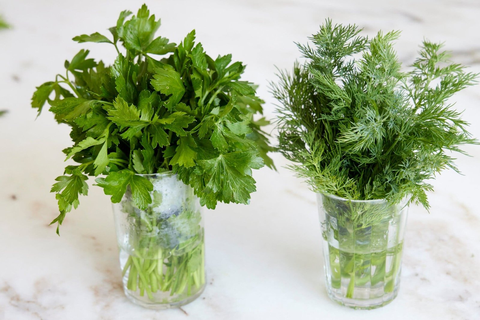 A side image of herbs in glasses of water.